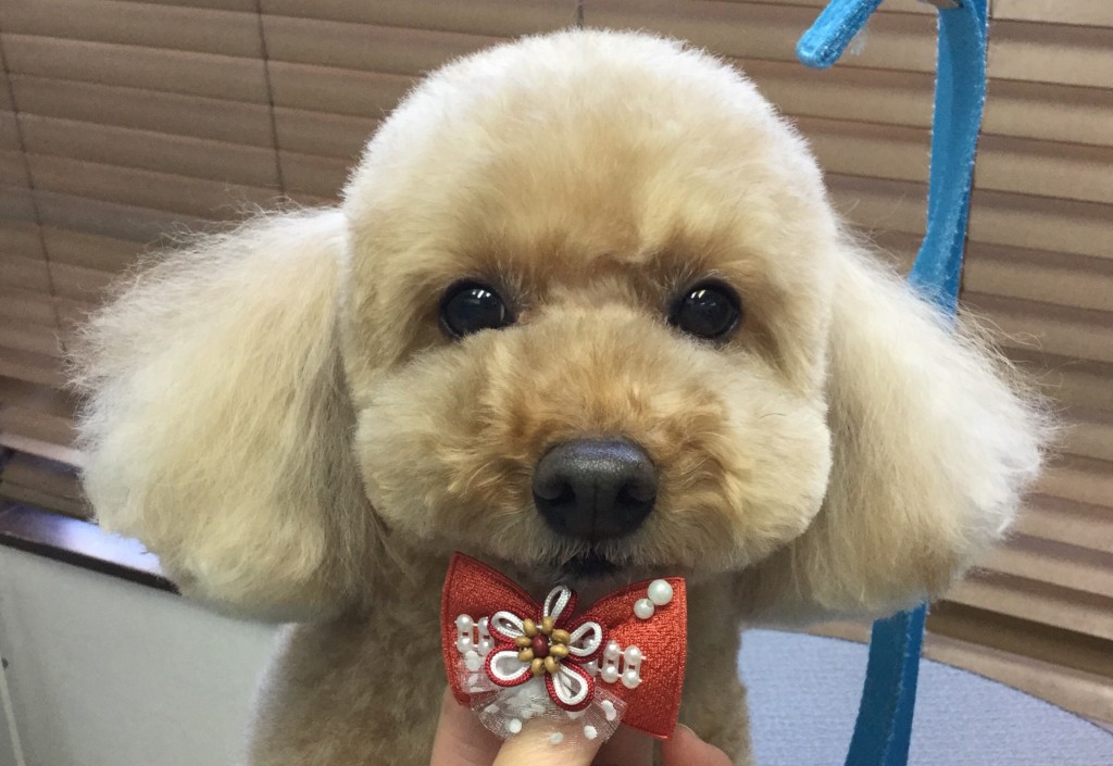 6F1DC529-0C1E-4467-BA7B-07599E1BC384