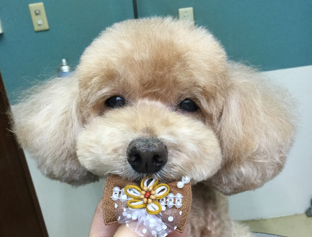 71E22DC0-E40D-4E7C-BB54-639EF4D2CA74