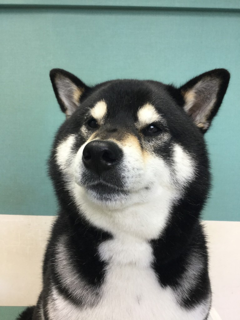 75A398BA-62CA-48C4-A9CF-90A3359625D9