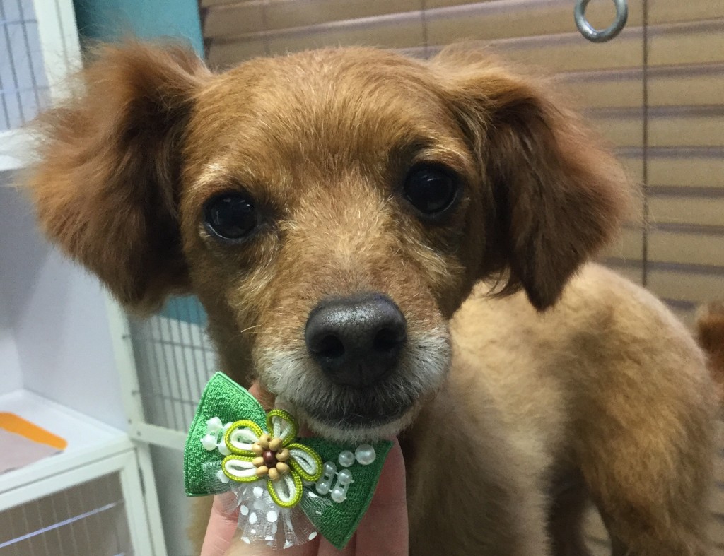 75B86F8E-D5EB-4E4A-97C9-C8F24D88817F