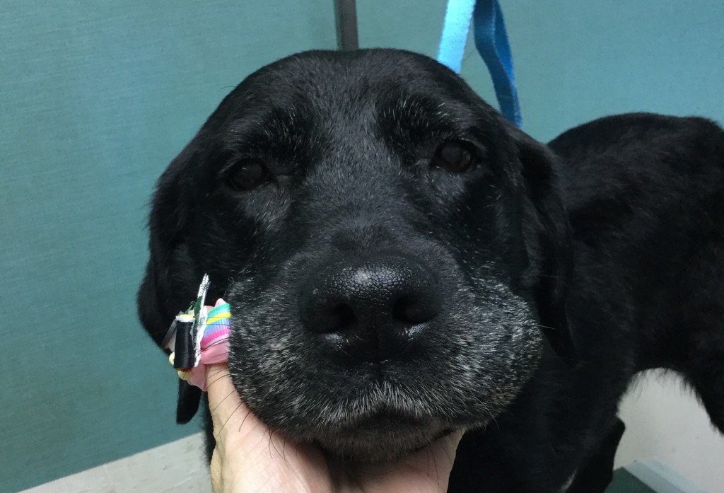 7823D078-63ED-49AA-AE9C-9C33B33411DF