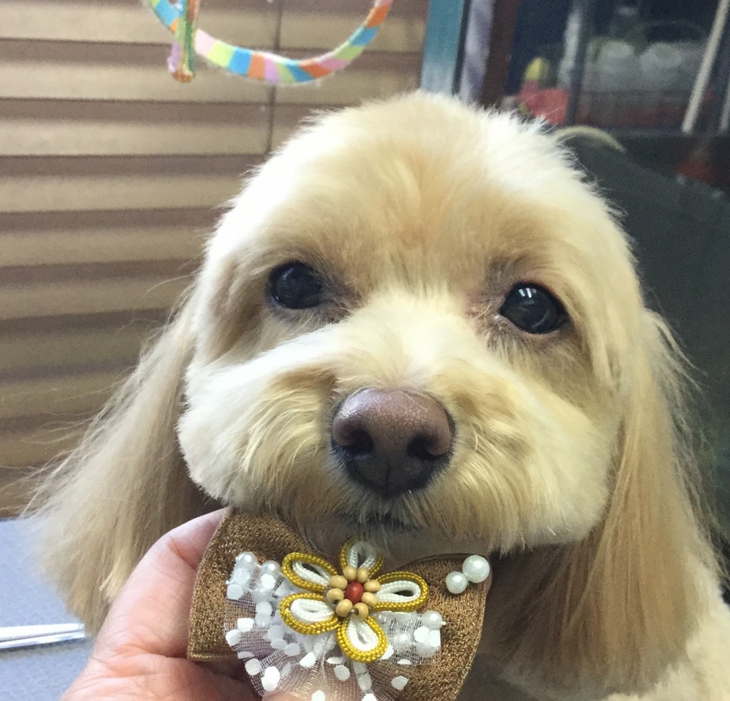 871A6120-A37F-42D8-906D-845D1B51402B