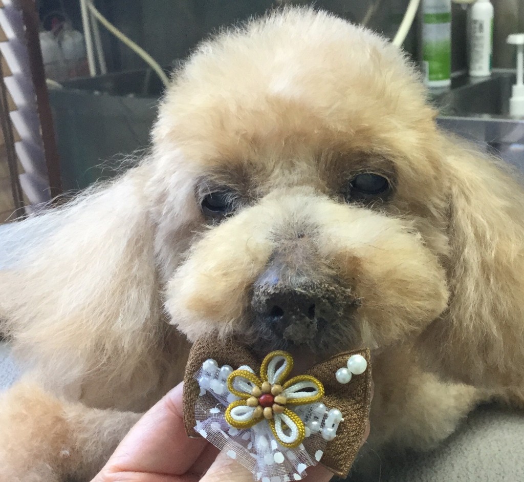 908214F6-B902-4682-AC3E-11F6C0218212