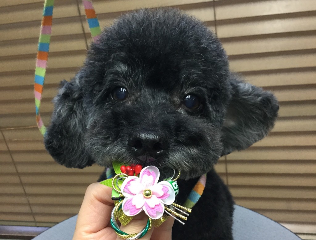 917D655E-FB04-485F-9B79-B1CE509AB785