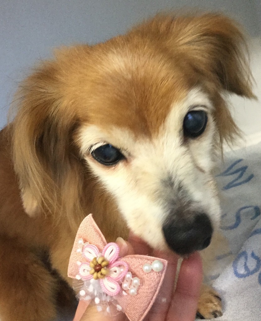 947EE60D-3743-4F50-B494-09EF25E09438