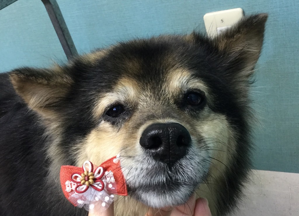 9F4D69B0-B677-45A5-B992-CCAA7D031E76