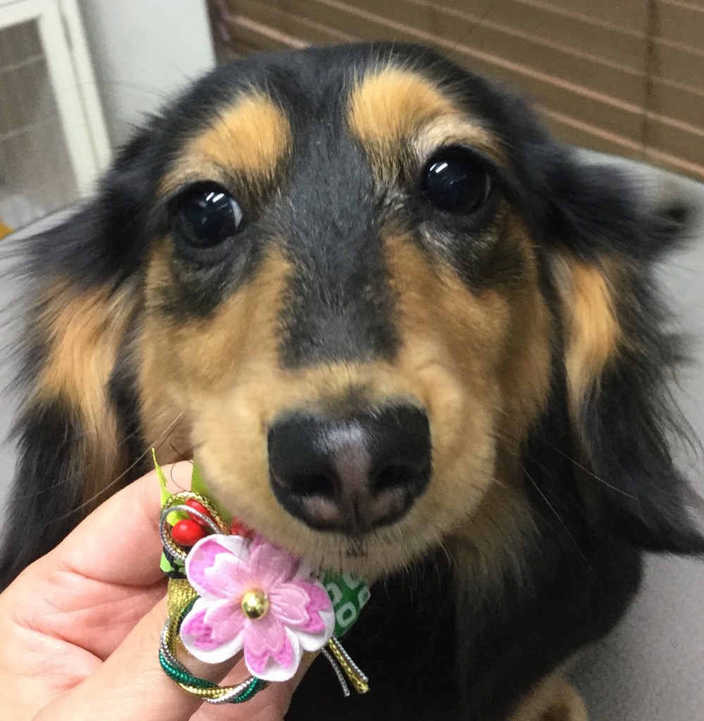 A2AD8BC9-E20C-40ED-BBA8-6368305EF11A