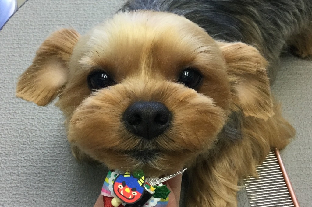 A8F68FEA-1F09-47B7-8720-93E8C17CC484