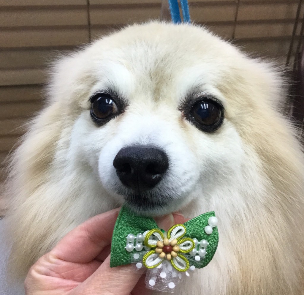 B0DA8EF5-6590-4C29-8607-0F77FB68B115