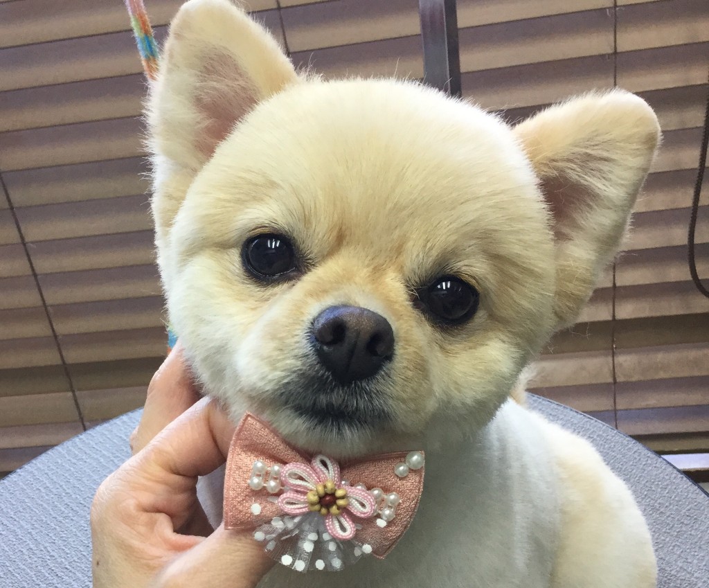 B1B5215F-1CB2-43BA-A6E1-F20A8CE8D938