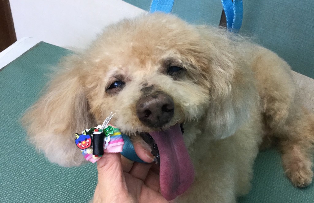 B8775AA3-F88F-4BB2-A337-02F58B7D4026