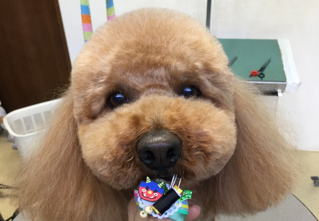 BA42B550-A530-4217-93CA-58A91D8803B2