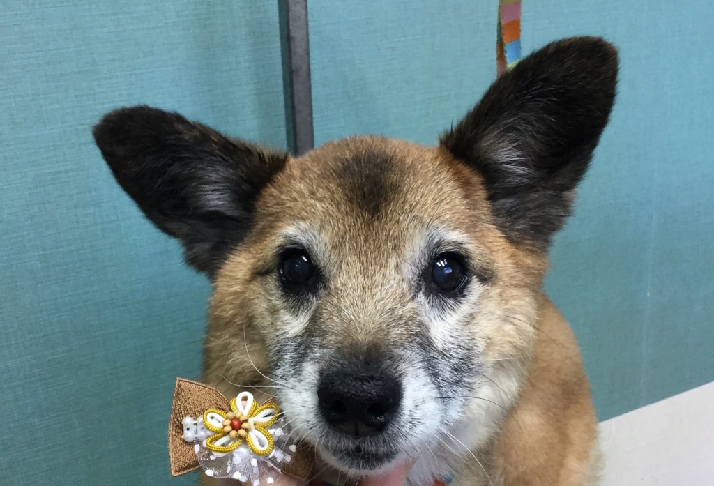 BAFE2F73-7FDF-4B2E-8F38-9D36D4417032