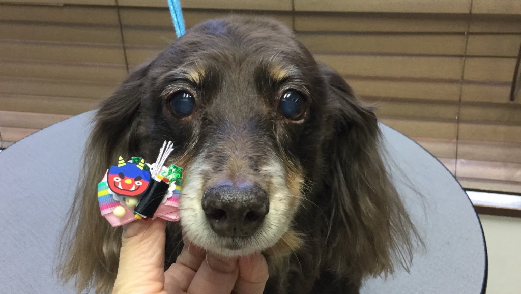 BF94D217-CD12-4125-9266-319478E2010B