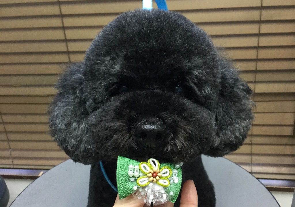 C0A1A8C7-DD60-406A-8869-31952F2B9102