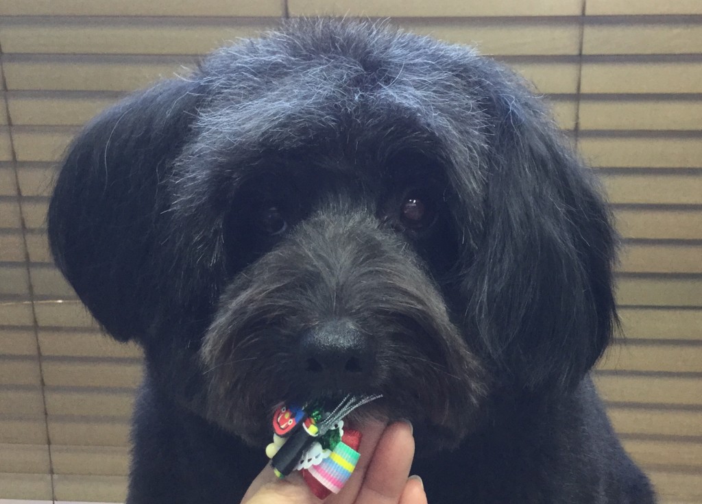 C62B0736-A05D-41D3-AAD1-09352310034D