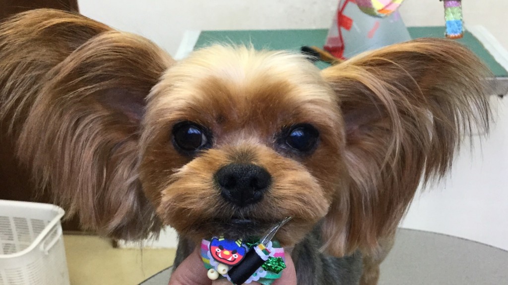 C733A9A9-96DA-4F40-9FB9-50A4838479C1