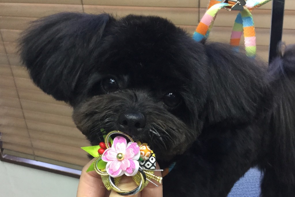 D3735174-A981-49DF-8C3A-3CA775528FE2