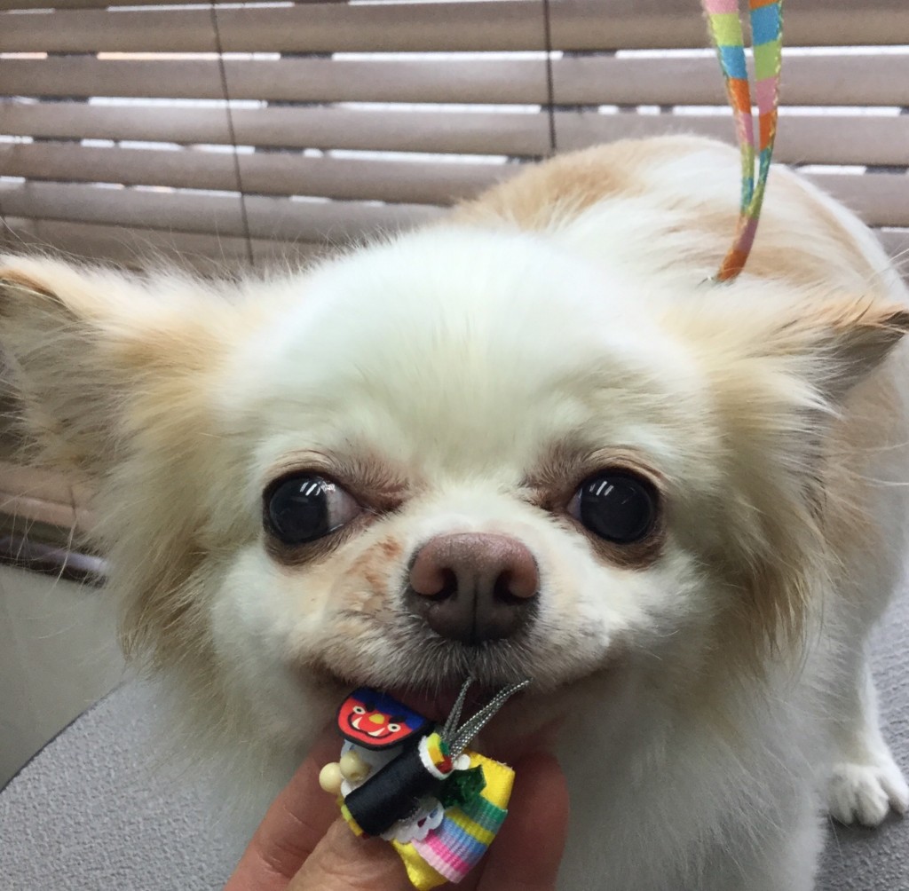 D62311D3-0B35-4822-8F06-839F494E9F5F