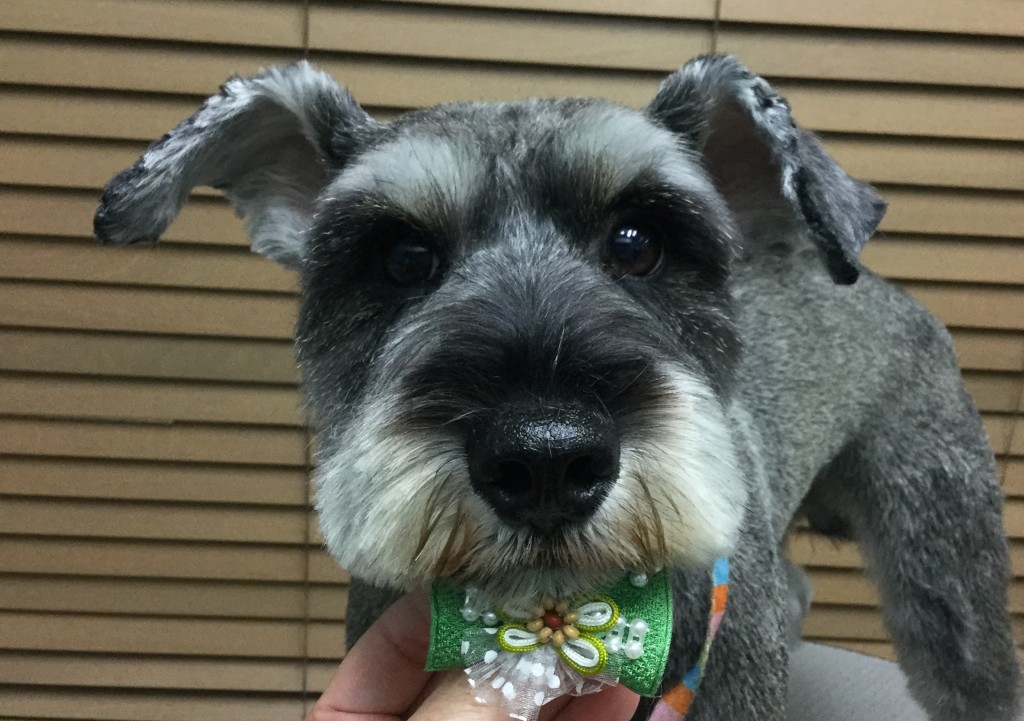 D9D2ACAC-506F-496E-ABBB-4AAD600D50F9