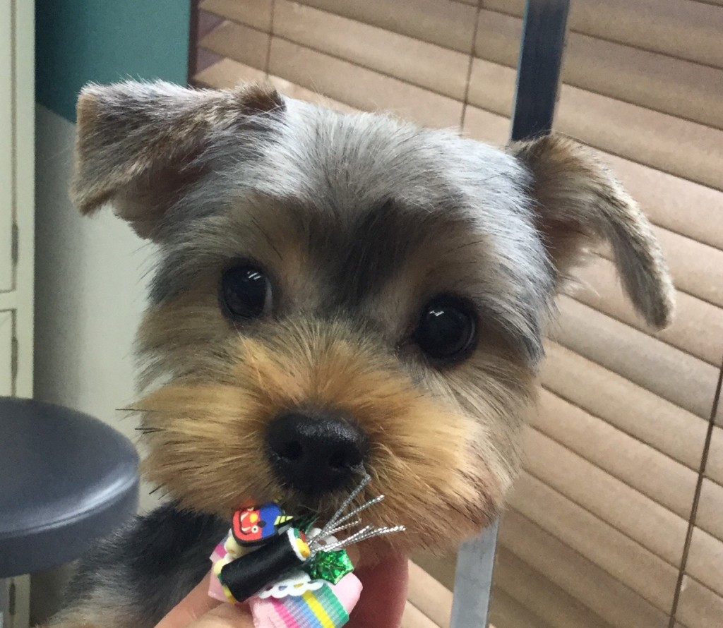 DC817A62-000C-49BF-9A94-BB8042F4AA58