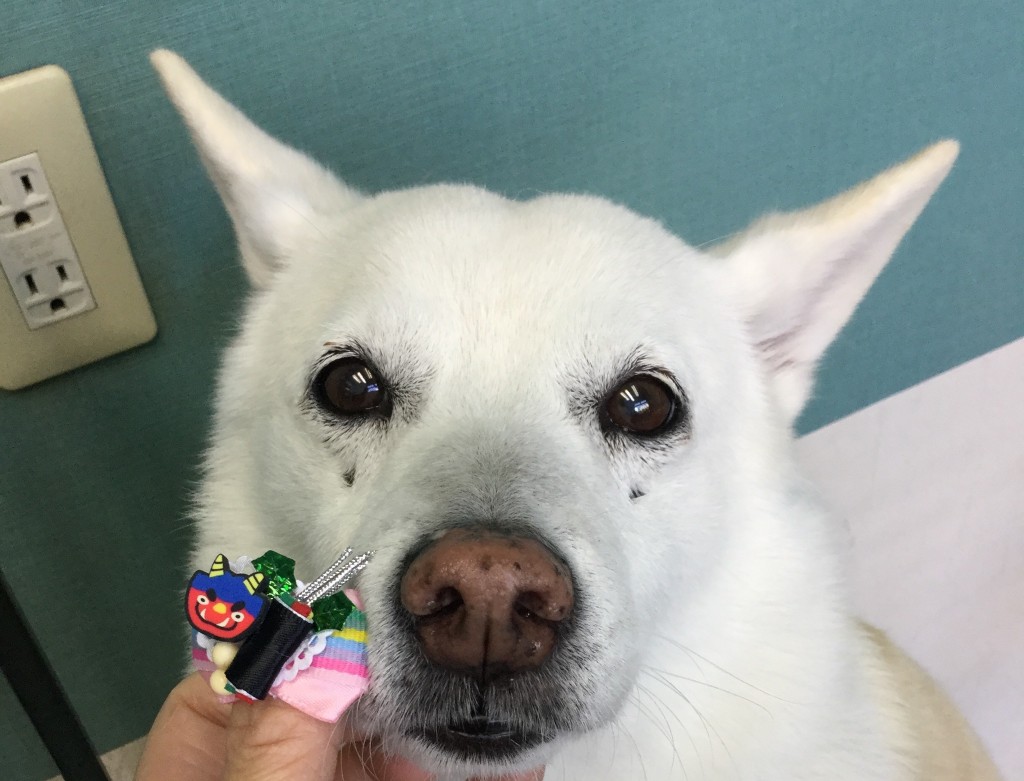 DD83588B-D3ED-4009-BE1D-557F38A6C046