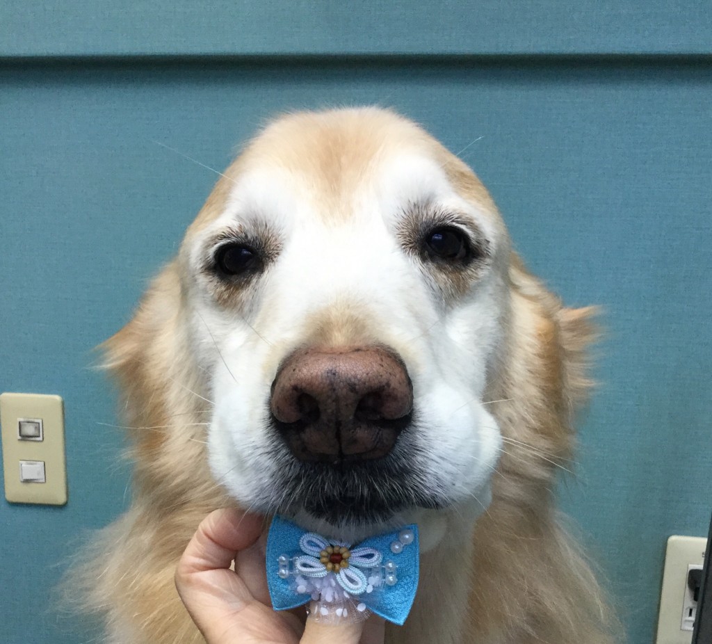 E0C10BFF-AEA5-48DF-AC4E-0945BCB8CDCC