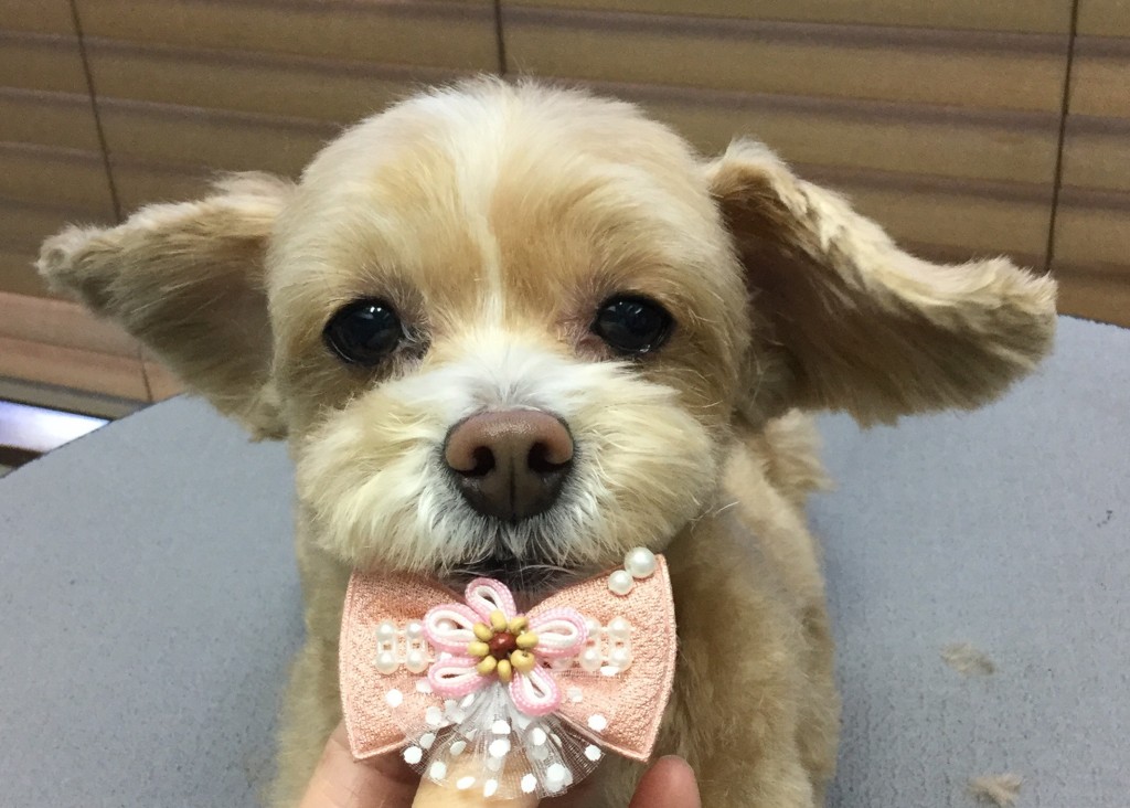 E4C3331E-DE2F-4FF2-9078-4633AF8EB1F4