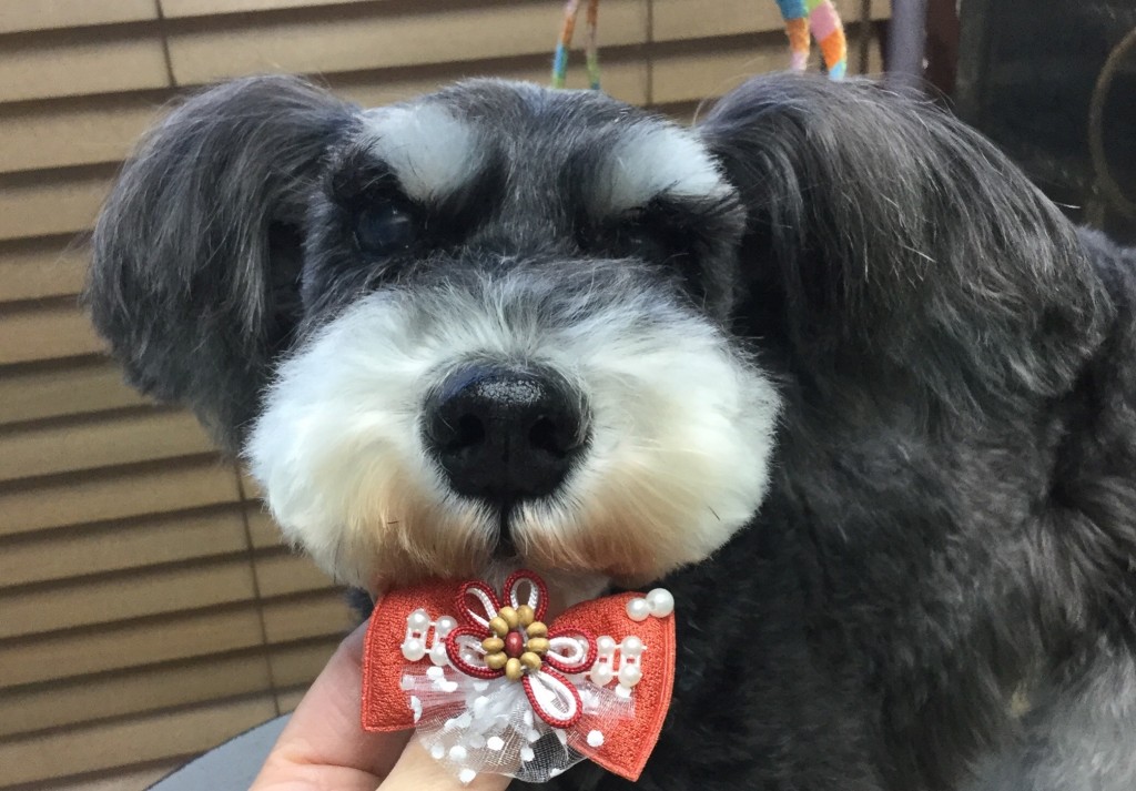 EBE3FB6A-4C8D-421E-97D7-CCD20220786F