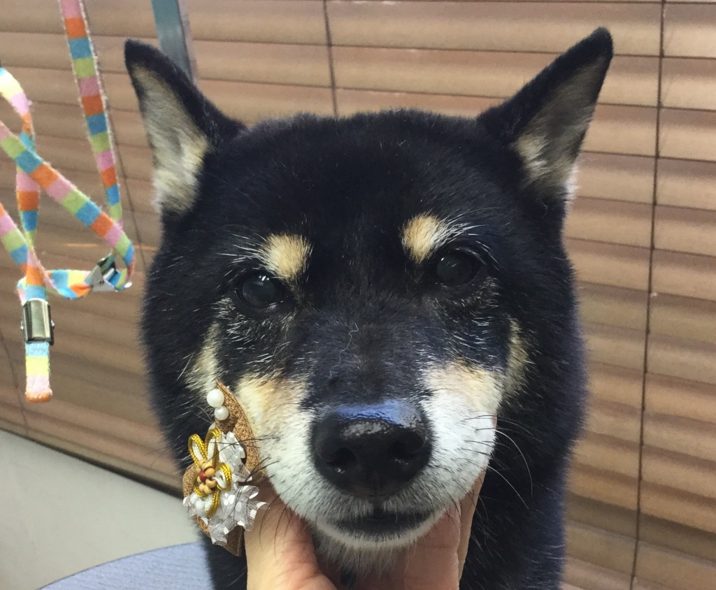 EDAE2C8A-D2C0-46CC-8664-E963646F7EAF