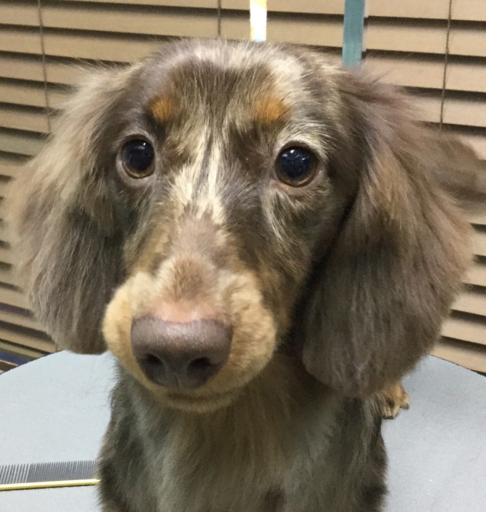 F39F14CA-37B8-43B6-A3C9-09D08684A4AE