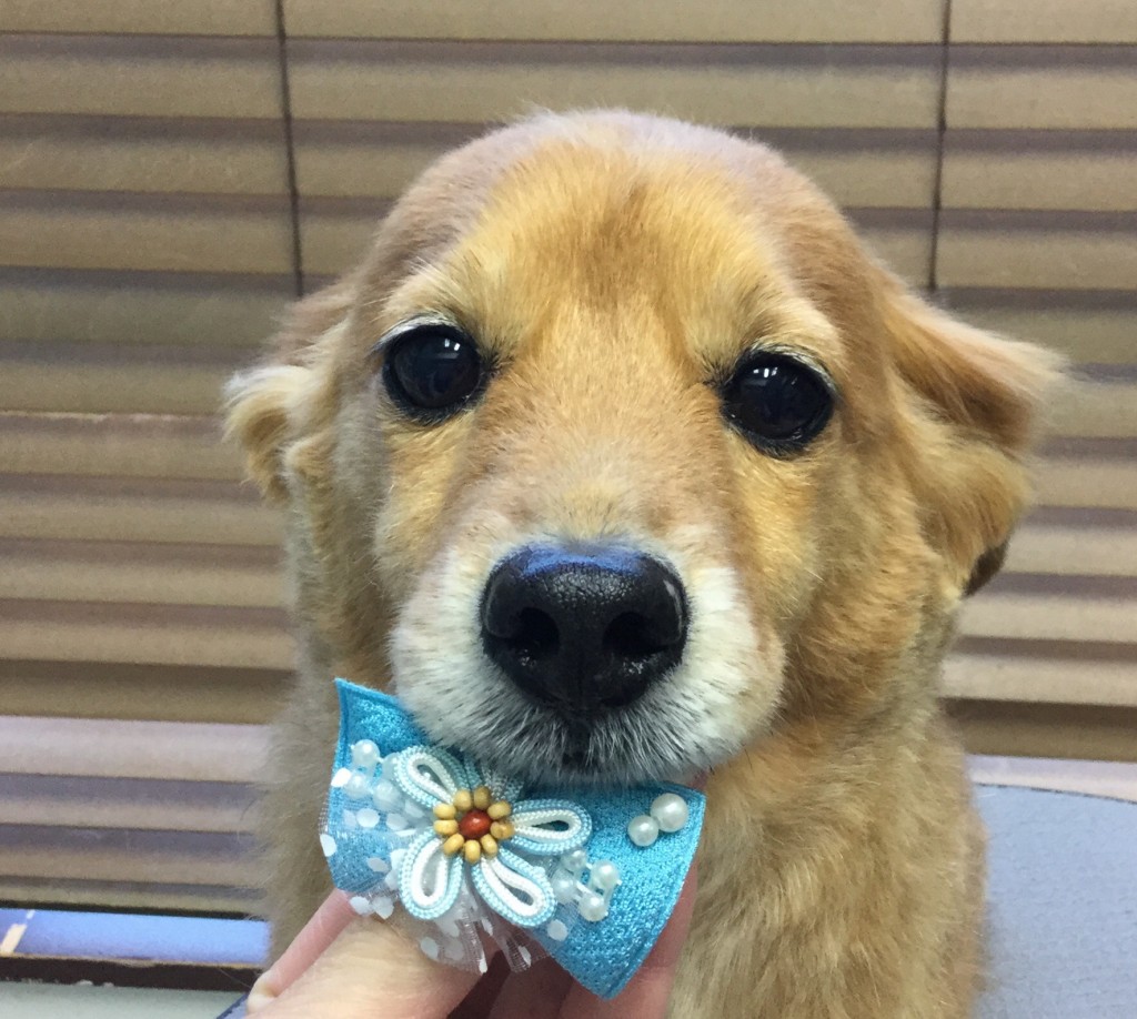 FD0D2064-681F-4307-BBE3-53CFD4BC12AB