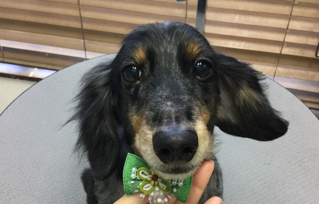 FF217E09-7D35-4E26-8F06-5503933F915D