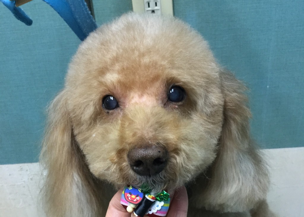 03B8AECD-6853-4498-954B-2BA8674A2DAF