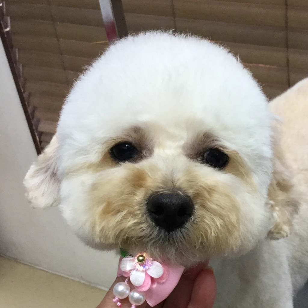 04013A1D-6C45-4EB7-B862-6C36B6E9C17D