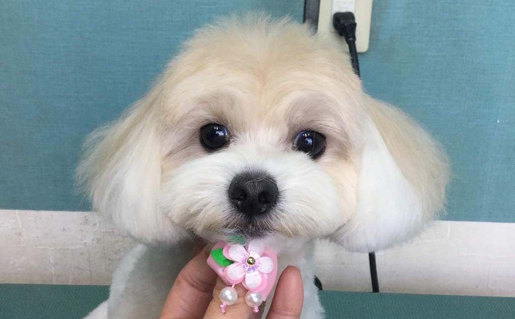 0611EEE8-9EDB-401E-A57A-6DB4C10BB2BC