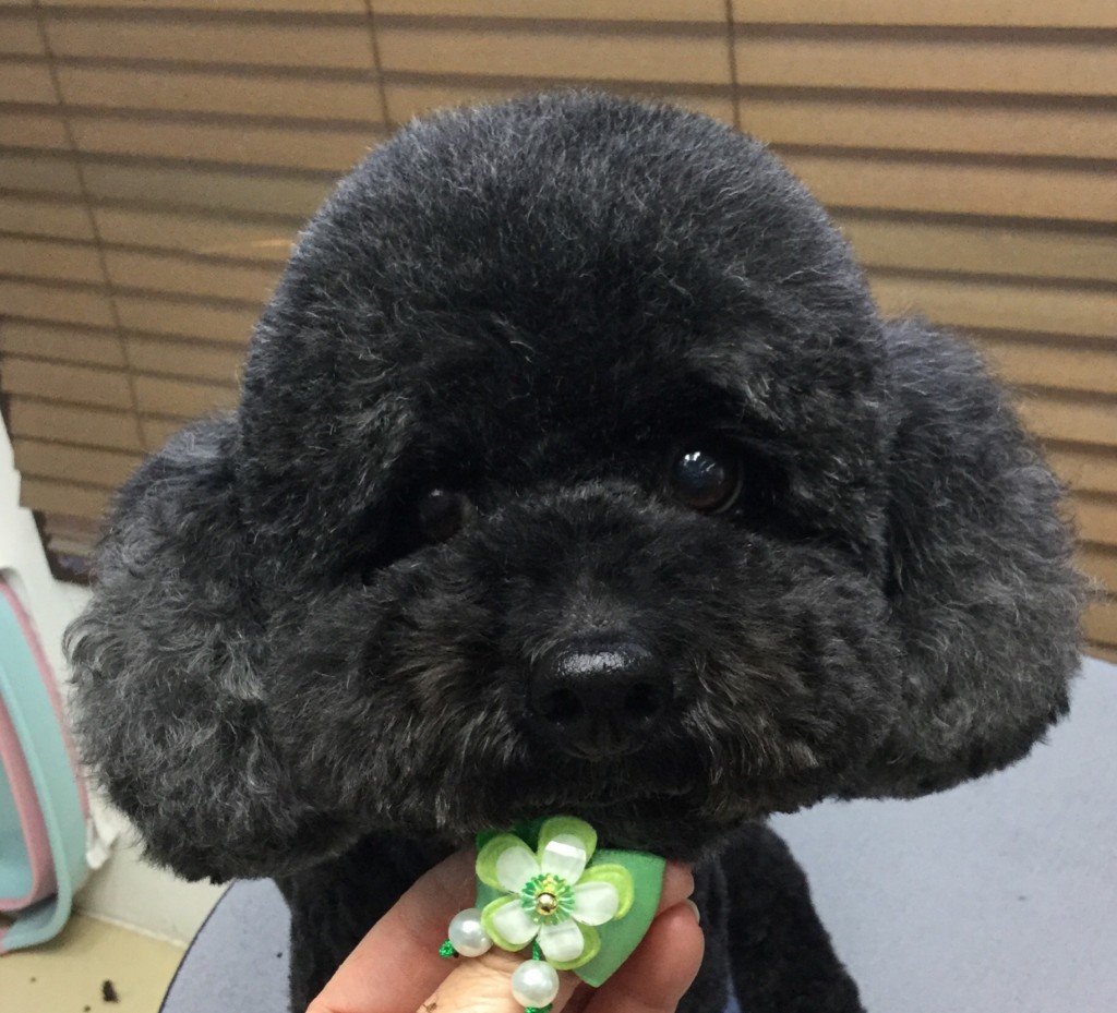 067D5255-4F50-4921-BA52-6EB3F59F34BB