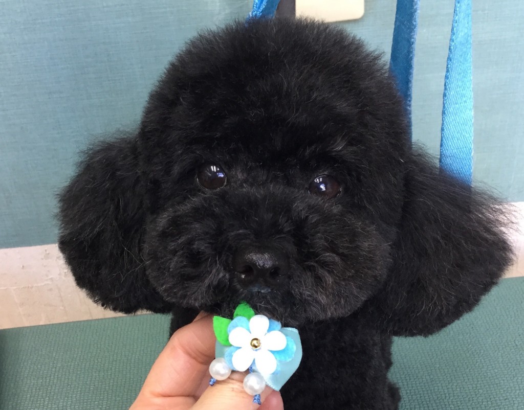 0B573504-6FCC-4BC6-ACE4-CE5F4819EF13