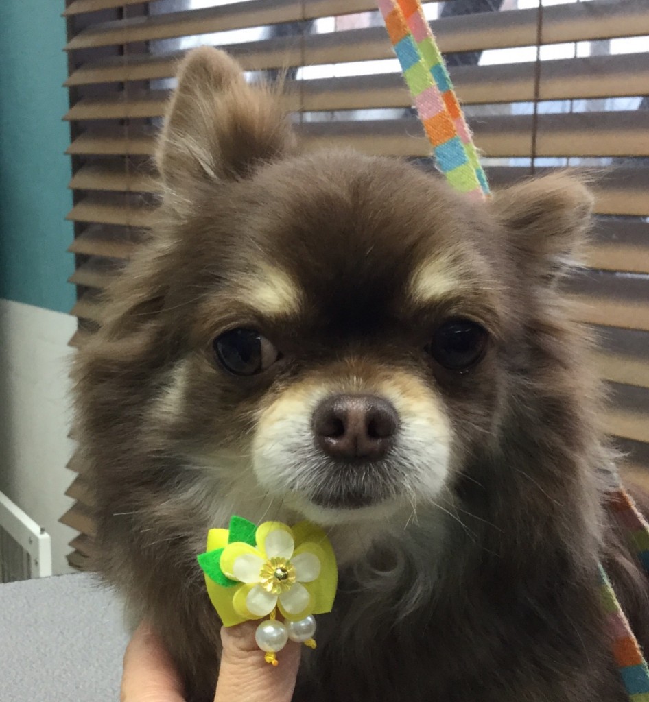 0BF557FE-0C61-4155-89A0-F9ADA7FB96A5