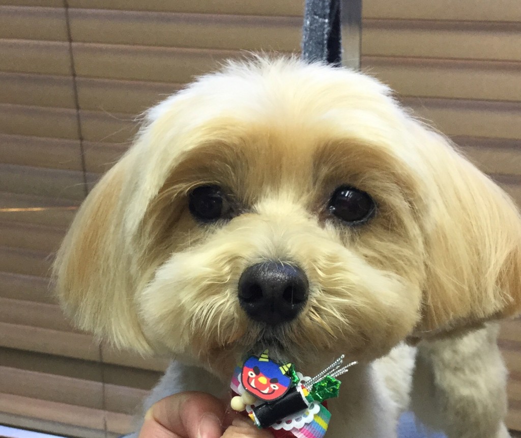 0C61A6EA-66CE-4765-8DD7-E48A32BBB2F6