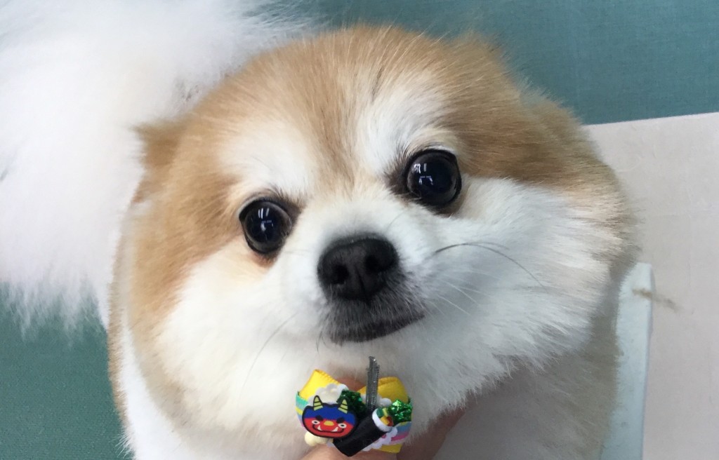 148441E6-610F-4F35-AEB8-7D52A8ACFFF0