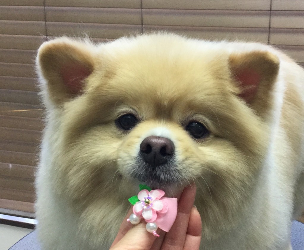 1819DE05-603B-4A2F-B697-03A9C50E0209