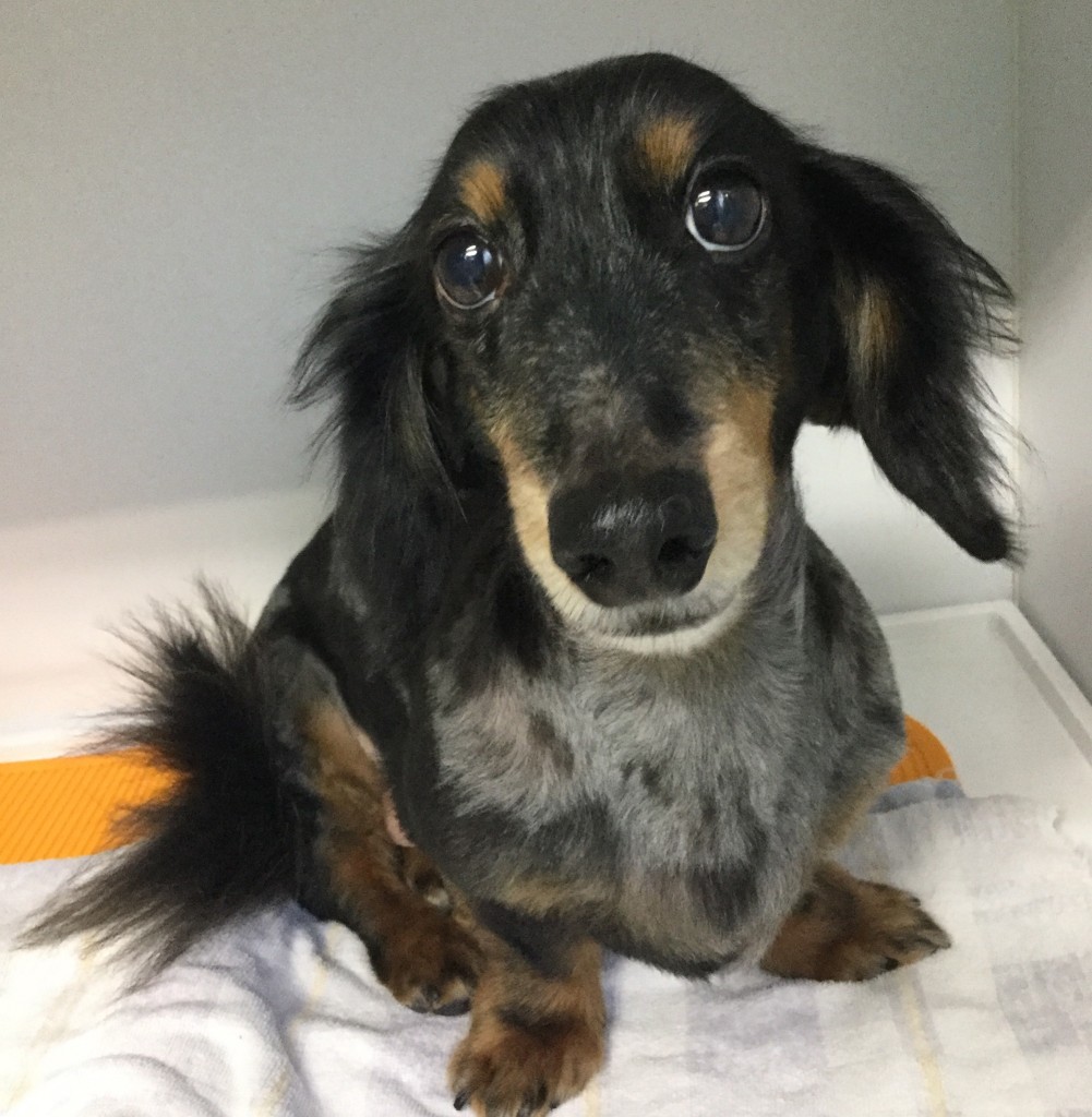 1CEF8E0A-6F7C-4106-87CC-5F81B6043E42