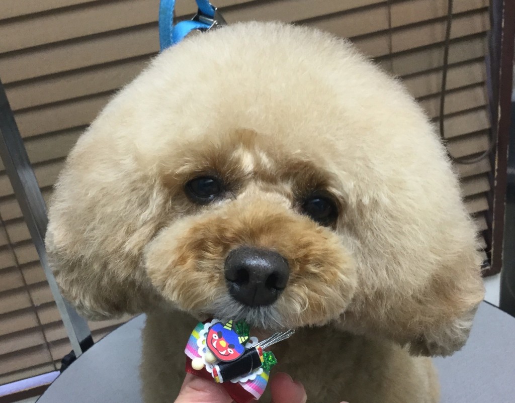 1CFF0090-63C3-408E-8553-CFF33E7F23A7