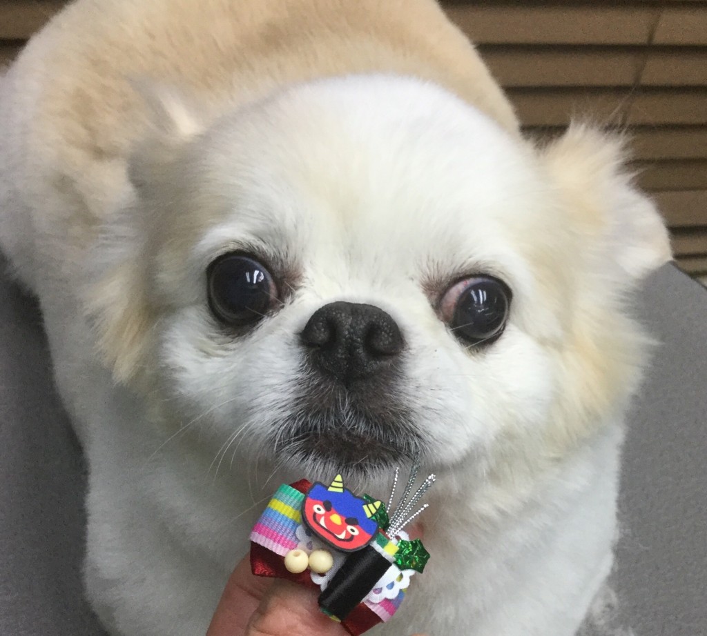 1E274086-B099-4922-B492-3C1C1609E8E7