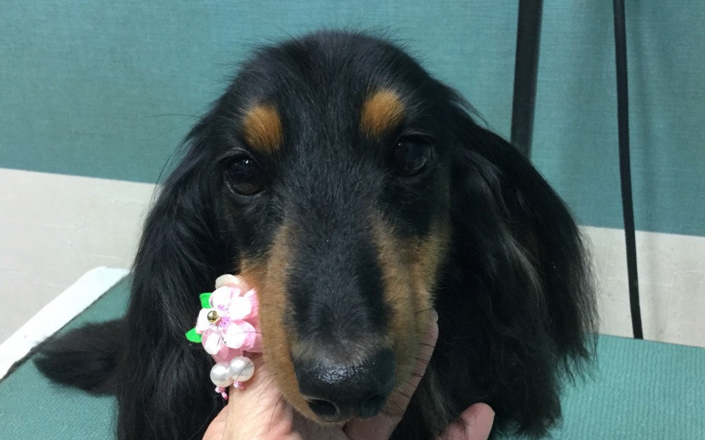 2029D41E-83C0-4A1E-AA19-69399F0A7419