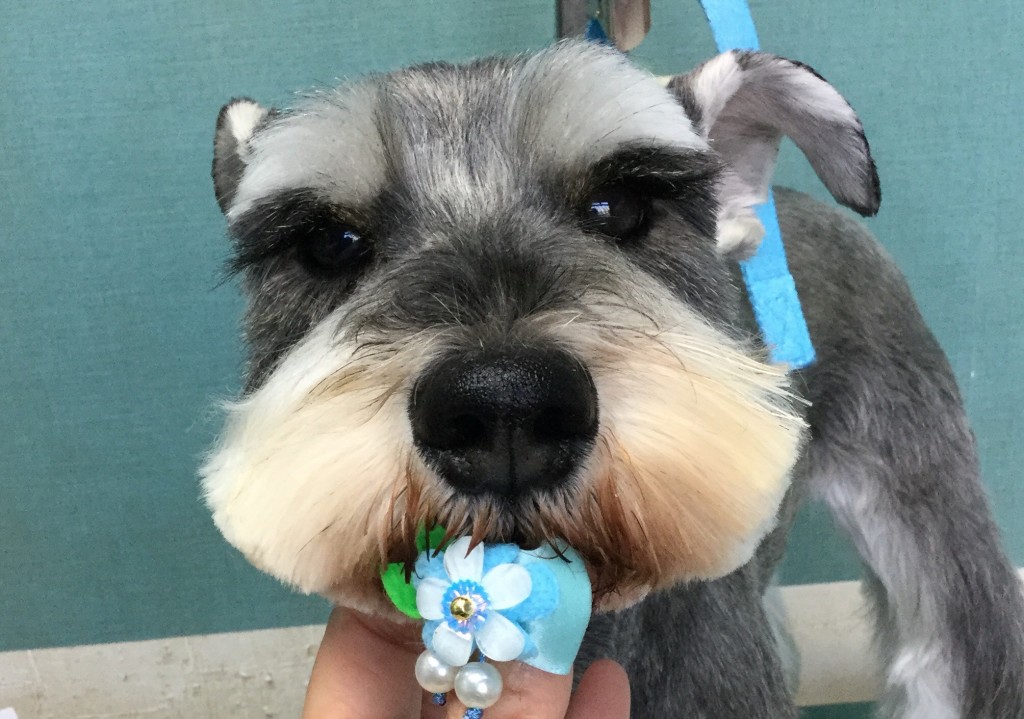 251955DB-2088-468C-84A7-FB629D99BDA2