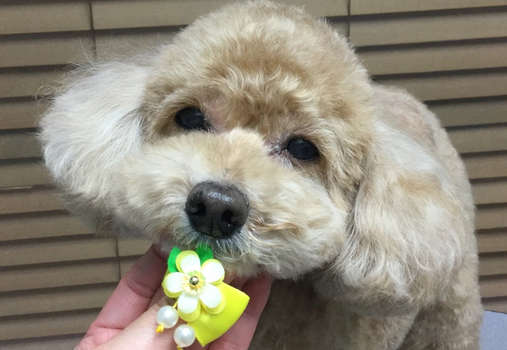 268F5F17-39C5-4C59-9E0D-04C8BEC6B938