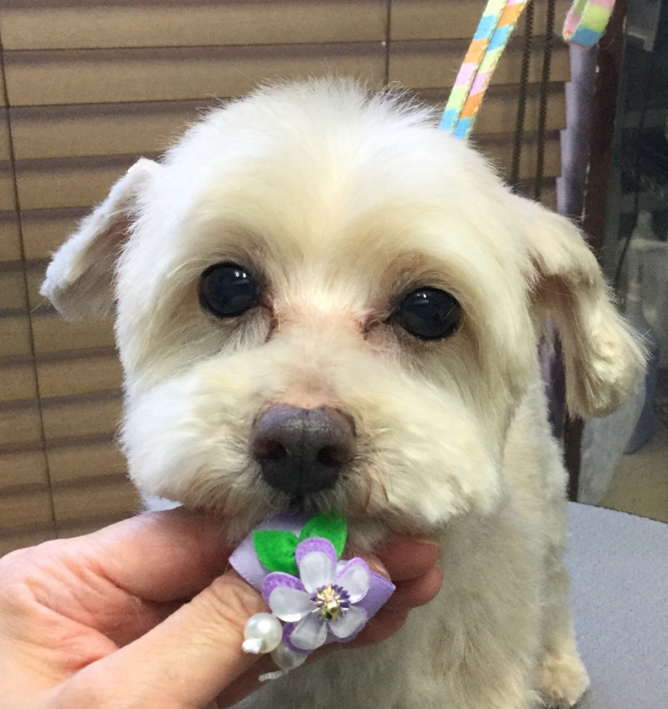 2B22D2BC-3AFC-40CE-B226-CA23E1F78477