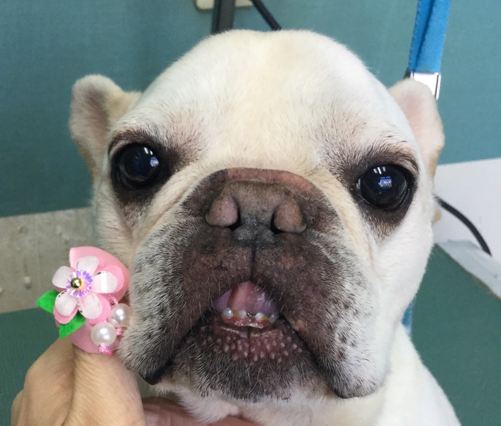 323C8FE7-9D52-46A4-BE80-A75388DFF8ED